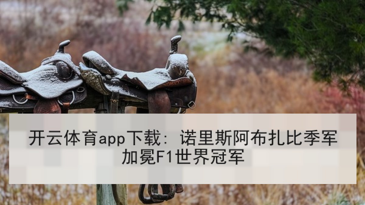 开云体育app下载: 诺里斯阿布扎比季军加冕F1世界冠军