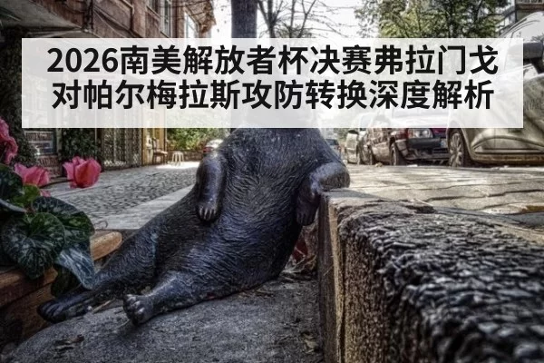 2026南美解放者杯决赛弗拉门戈对帕尔梅拉斯攻防转换深度解析